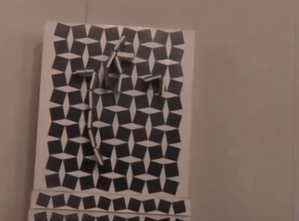 Mary's Little Lambs Are Now Raised By Wolves